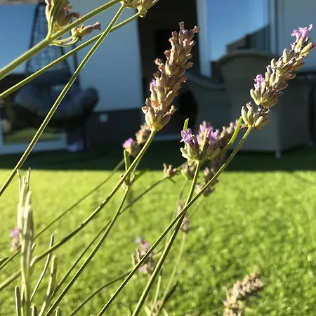 Hedonist-luxury 2 Bedroom With Private Hot Tub, Garden And Free Parking Apartmán